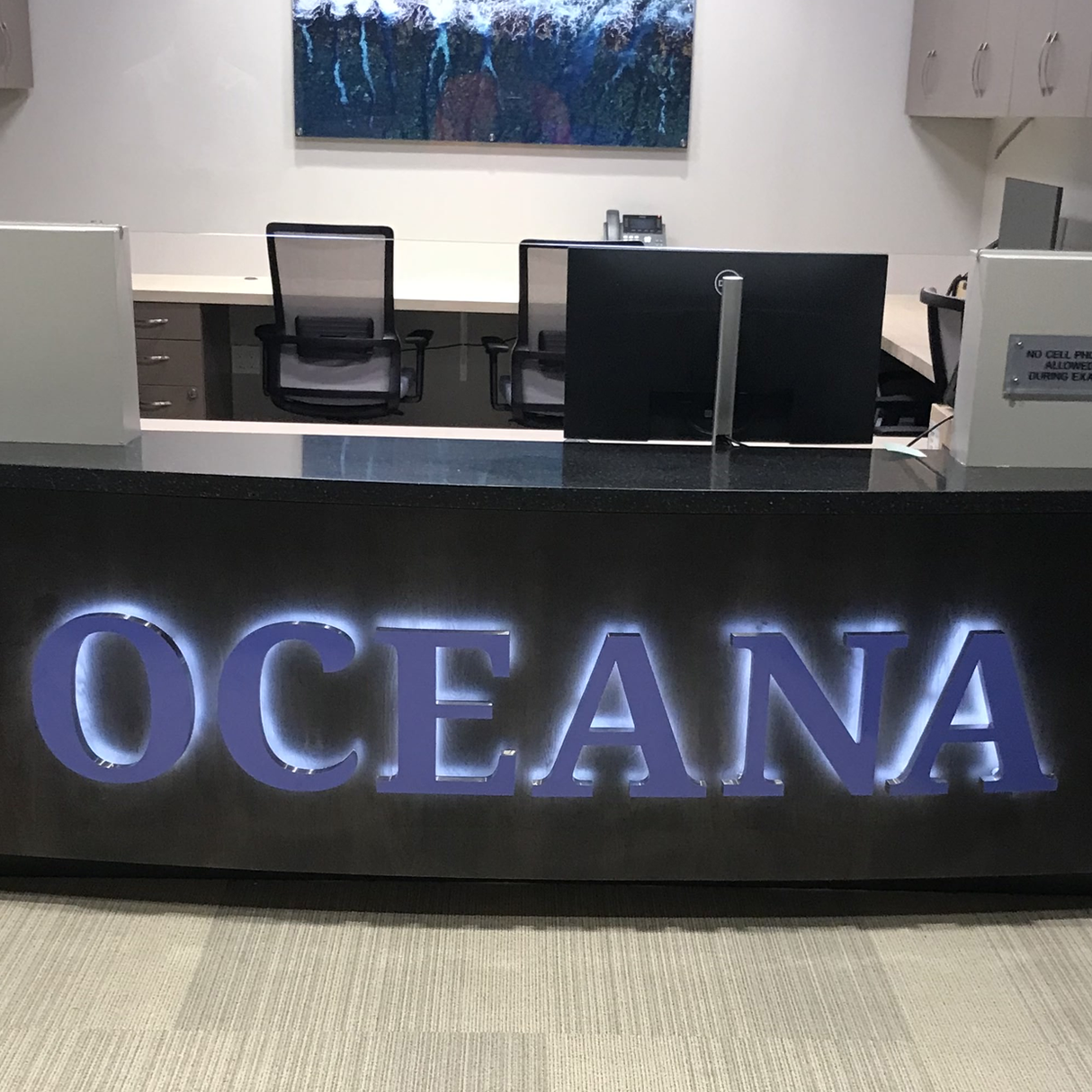 Back Lit Painted Aluminum Channel Letters & Numbers