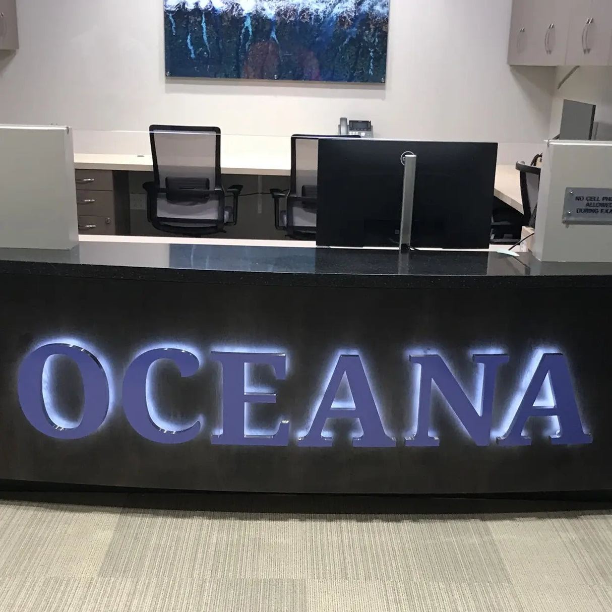 Back Lit Painted Aluminum Channel Letters & Numbers Signs & Branding Products