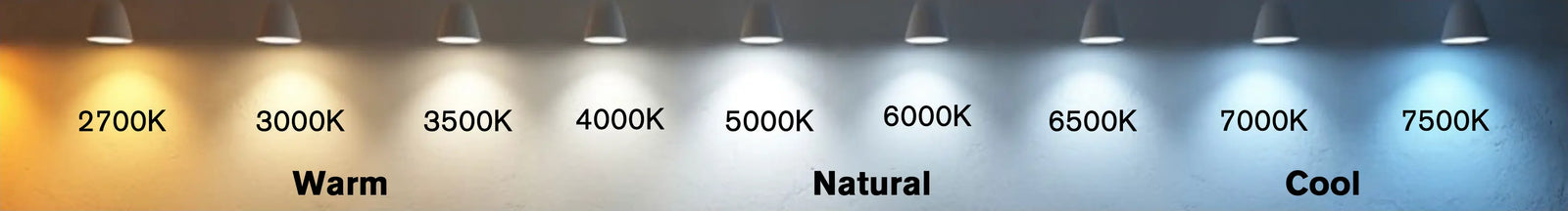 LED Signage Mastery: Decoding Light for Premium Branding Signs & Branding Products