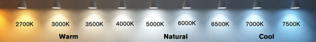 LED Signage Mastery: Decoding Light for Premium Branding Signs & Branding Products