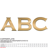 Flat Cast Brushed Bronze Sign Letters