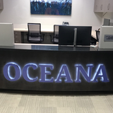 Back Lit Painted Aluminum Channel Letters & Numbers