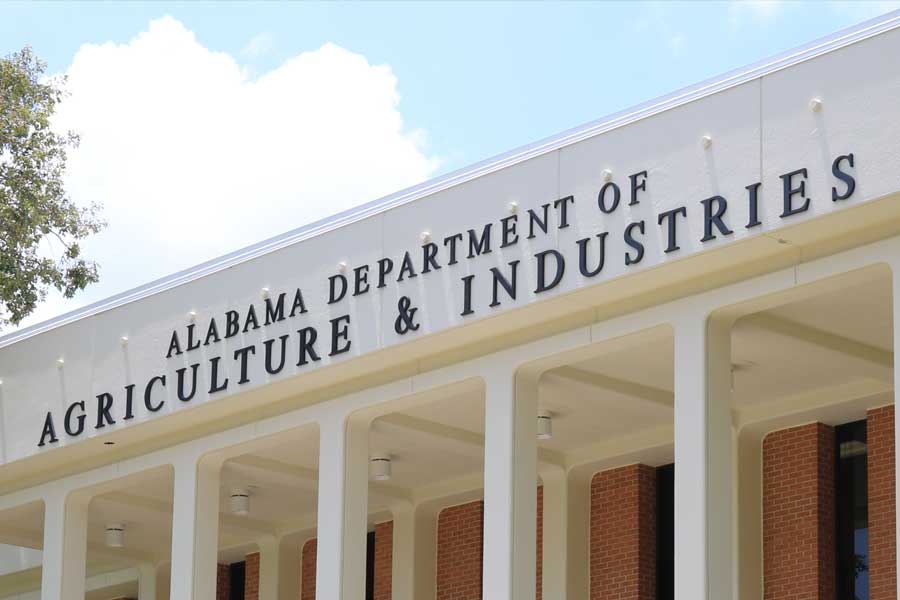 Anodized Cast Aluminum Sign Letters Gemini