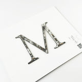 Random Arc Brushed Stainless Steel Sign Letters & Numbers